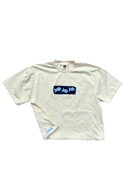 fish school t